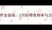 边境牧羊犬幼犬喂养全指南2月龄喂食频率与注意事项附食谱