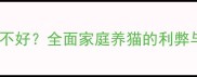 养宠物猫到底好不好全面家庭养猫的利弊与科学养护指南