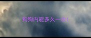 狗狗内驱多久一次
