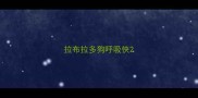 拉布拉多狗呼吸快