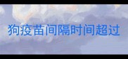 狗疫苗间隔时间超过