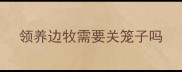 领养边牧需要关笼子吗