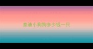 泰迪小狗狗多少钱一只