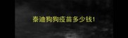 泰迪狗狗疫苗多少钱