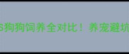 猫咪VS狗狗饲养全对比养宠避坑指南