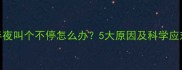 狗狗半夜叫个不停怎么办5大原因及科学应对指南