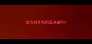 微信领养狗狗是真的吗