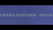 单血拉布拉多智商排名及饲养全指南性格与科学训练方案