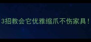 猫咪爪子太调皮3招教会它优雅缩爪不伤家具附训练全流程图解
