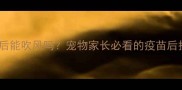 打完狂犬疫苗后能吹风吗宠物家长必看的疫苗后护理避坑指南