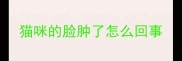 猫咪的脸肿了怎么回事