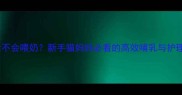 猫咪产后不会喂奶新手猫妈妈必看的高效哺乳与护理全攻略