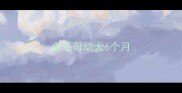 金毛母幼犬6个月