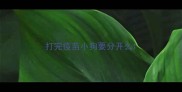 打完疫苗小狗要分开么