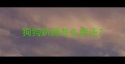 狗狗趴蹄怎么修正