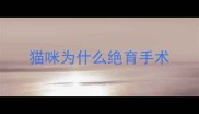 猫咪为什么绝育手术