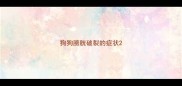 狗狗膀胱破裂的症状