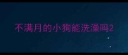 不满月的小狗能洗澡吗