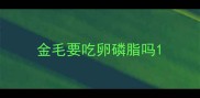 金毛要吃卵磷脂吗