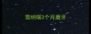 雪纳瑞3个月磨牙