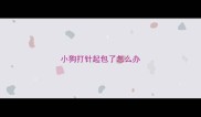 小狗打针起包了怎么办