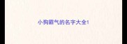 小狗霸气的名字大全