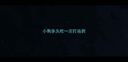 小狗多久吃一次打虫药