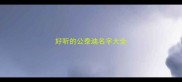 好听的公泰迪名字大全
