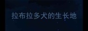 拉布拉多犬的生长地