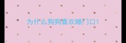 为什么狗狗喜欢睡门口