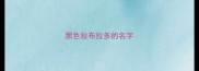 黑色拉布拉多的名字