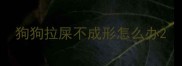 狗狗拉屎不成形怎么办