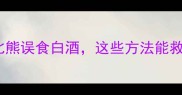 紧急处理2个月比熊误食白酒这些方法能救命家长必看护理指南