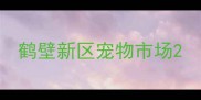 鹤壁新区宠物市场
