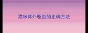 猫咪体外驱虫的正确方法
