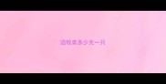 边牧卖多少元一只