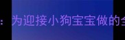产前准备为迎接小狗宝宝做的全面准备