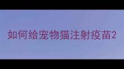 如何给宠物猫注射疫苗