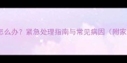 狗狗吐血又腹泻怎么办紧急处理指南与常见病因附家庭护理全攻略