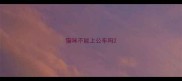 猫咪不能上公车吗