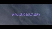 狗狗总是咬自己的后脚