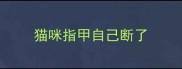 猫咪指甲自己断了