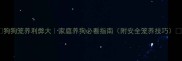 狗狗笼养利弊大家庭养狗必看指南附安全笼养技巧