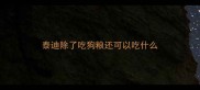 泰迪除了吃狗粮还可以吃什么