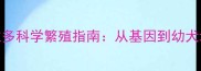 黑色拉布拉多科学繁殖指南从基因到幼犬培育全流程