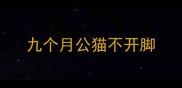 九个月公猫不开脚