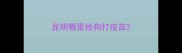 昆明哪里给狗打疫苗