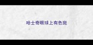 哈士奇眼球上有色斑