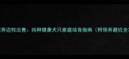 上海家养边牧出售纯种健康犬只家庭培育指南附领养避坑全攻略