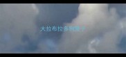 大拉布拉多狗笼子